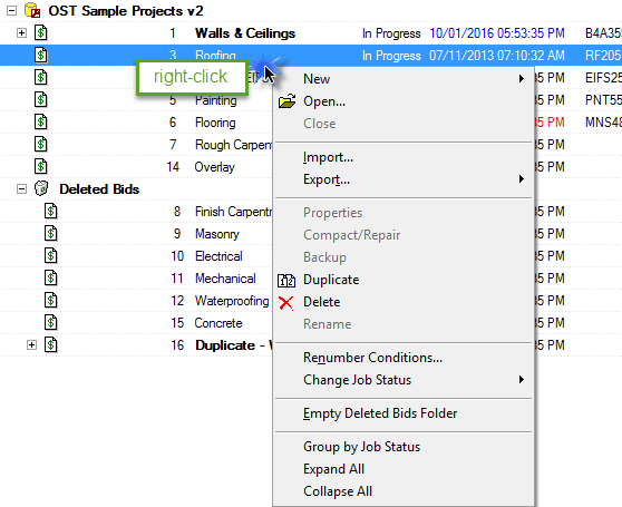 Bids Tab Context menu